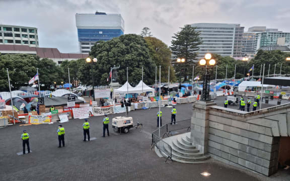 Police undertake an early morning operation to restore order and access to the area around Parliament.