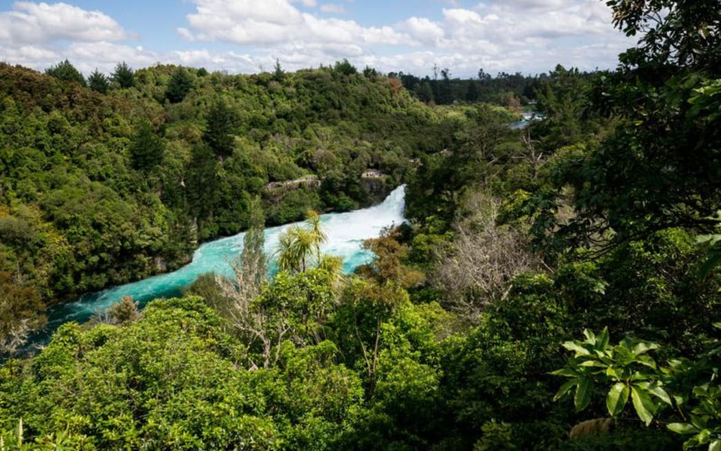 The Forest Owners Association is calling on the Government to do more to discourage deforestation in New Zealand.