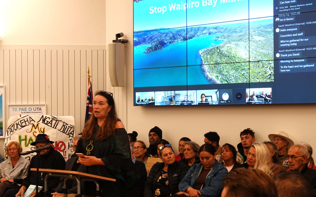 Patukeha kaikōrero Lamorna Ahitapu-Rogers says fast-track legislation has left her community without a voice.