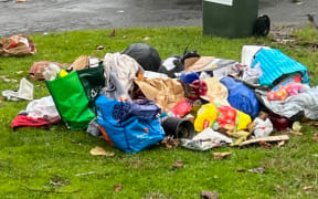 Rubbish in Waikato.