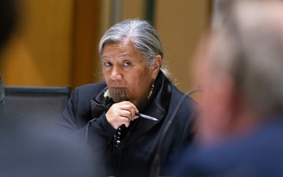 MP for Te Tai Tokerau, Mariameno Kapa-Kingi in Social Services and Community Committee hearings during Scrutiny Week.