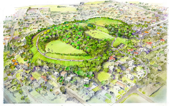 Plans for vegetation on Ōwairaka-Mt Albert