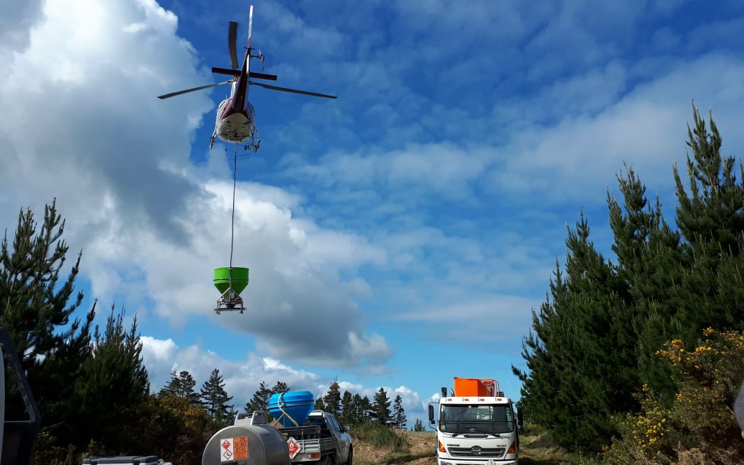 The 1080 drop in the Russell State Forest began over the weekend.
