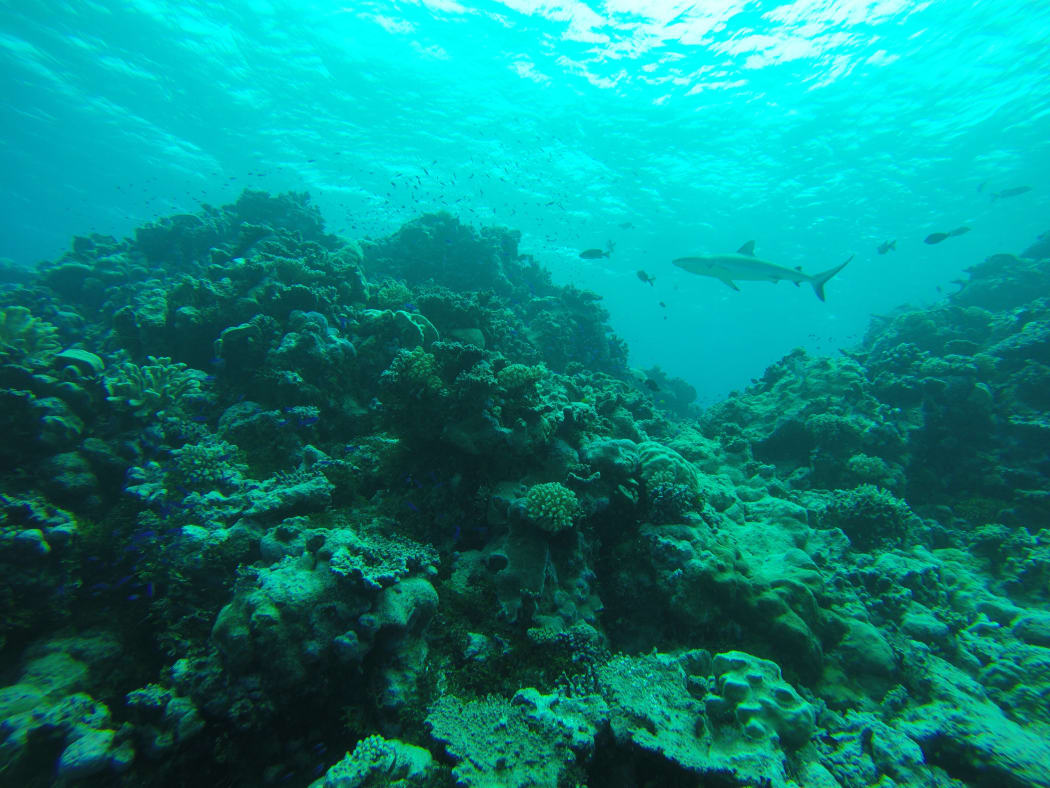 Bikini Atoll