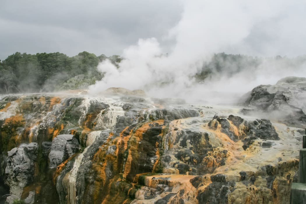 New Zealand steam geysers. New Zealand landscapes