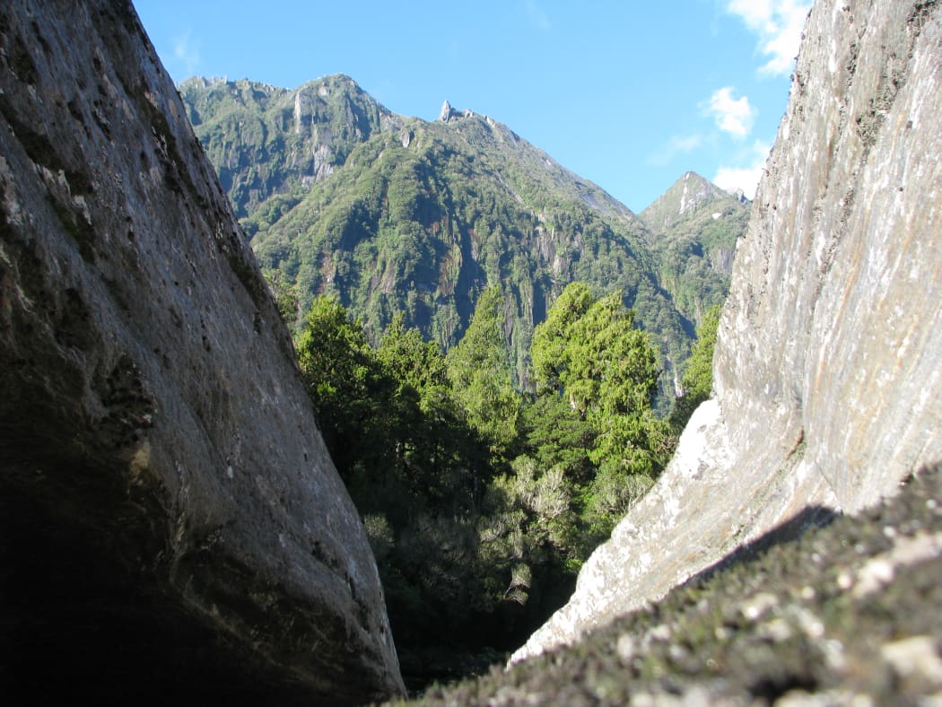 A photo in the Jacobs River area shows the tough terrain that is being searched for Brian Chadwick's missing Dragonfly.