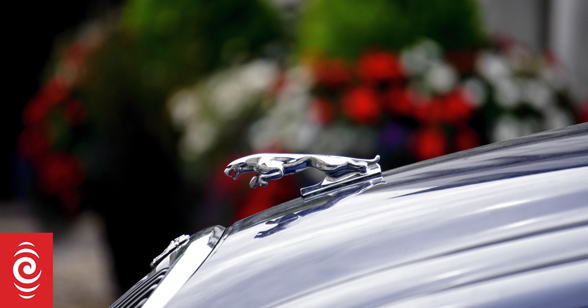 Business commentator Rebecca Stevenson RNZ