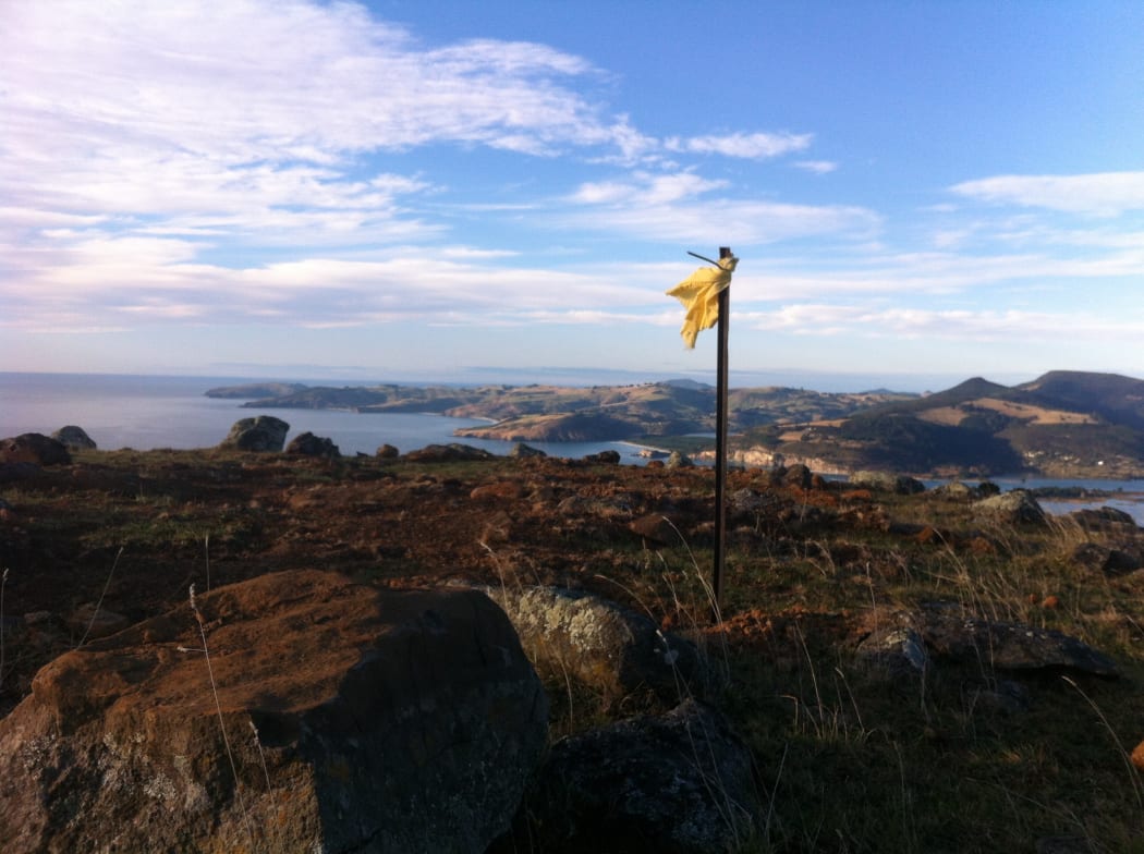 Porteous Hill site in Blueskin Bay, Dunedin, where investigations into a wind turbine project have been ongoing for nine years.