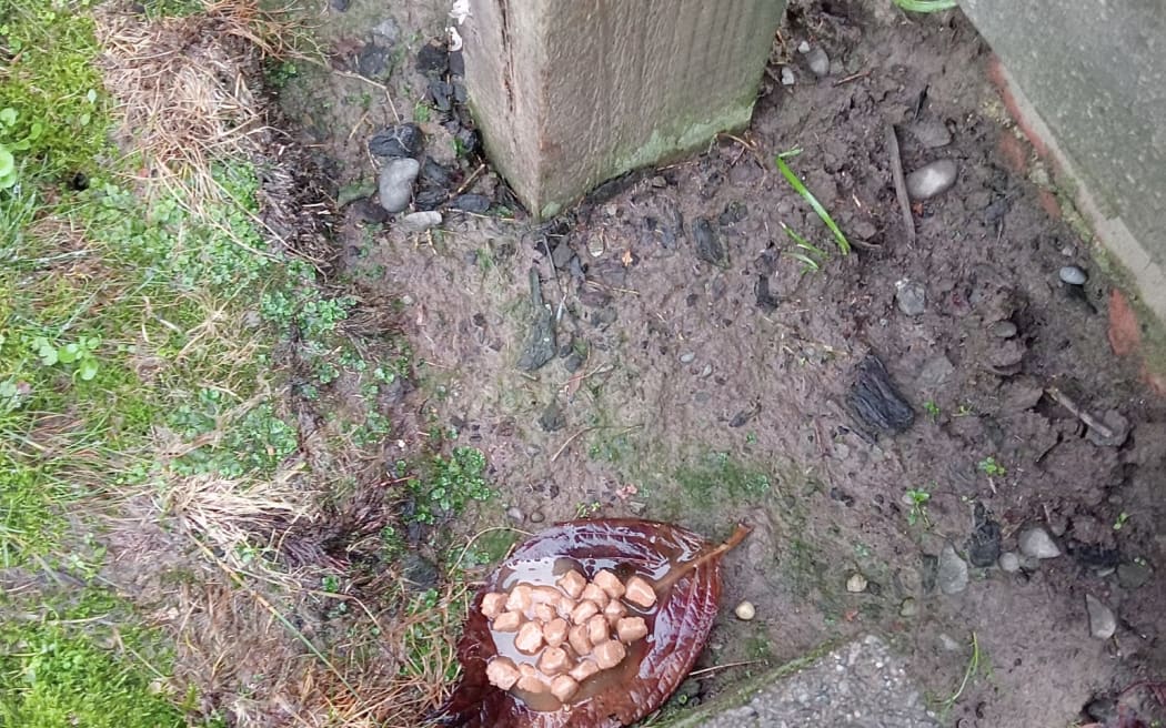 Food has been seen scattered outside and inside people's properties in Christchurch.