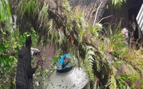 Destruction caused by severe tropical cyclone Lola from Merelava Island in Torba province.