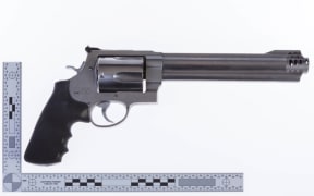 One of the pistols stolen from a Dunedin property.