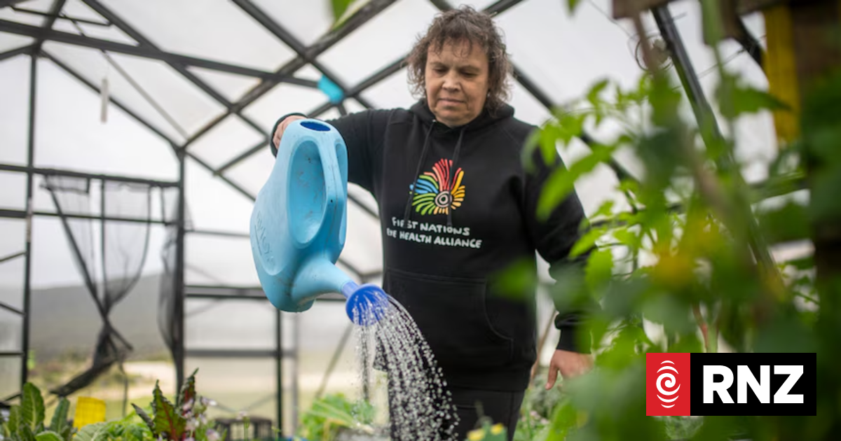 Cape Barren Island uses greenhouse and traditional foods to keep fridges full