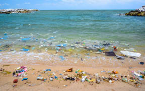 Plastics wash ashore on the tide.