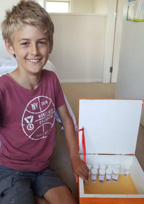 Olly Hills with his cicada collection, which he plans to expand.