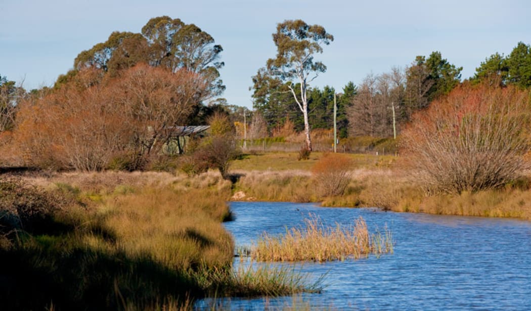 Zinc levels in the Wingecarribee River have been recorded as more than 120 times the normal baseline level.
