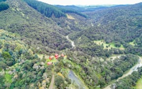 The Lagoon Hill Station includes 1360 hectares of plantation forest.