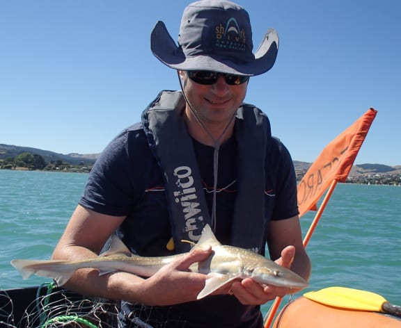 Shark researcher Warrick Lyon holds a small rig shark. This shark was too small for the GPS tracking system, but has been tagged with a numbered fishery tag.
