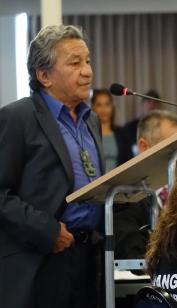 Patu Hohepa addresses the tribunal.