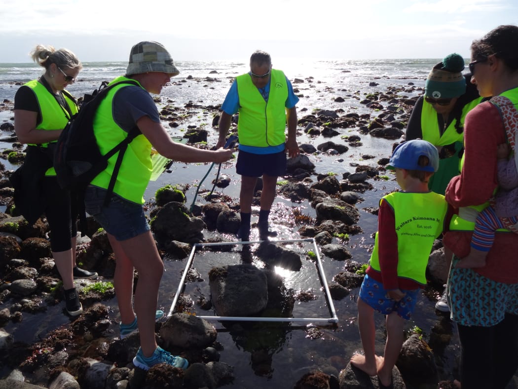 Exploring the health of the Waitara reefs, last surveyed 14 years ago.