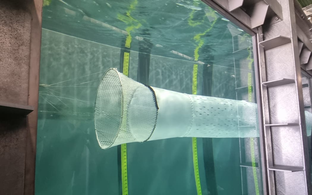 Inside Plant & Food Research's flume tank, understood to be the largest of its kind in the country.