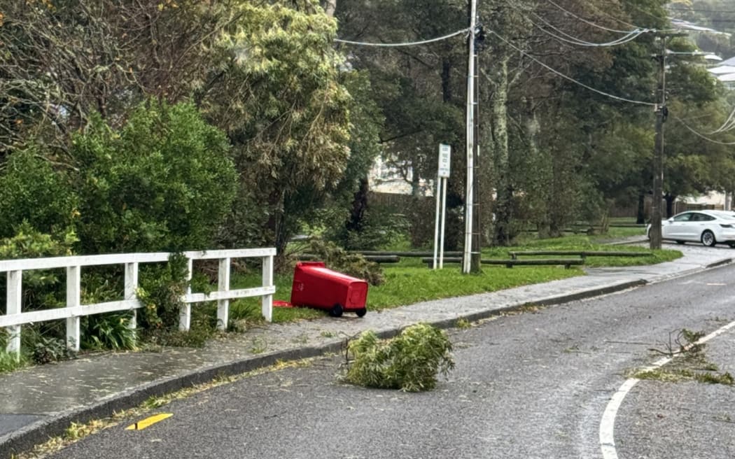 Windy weather in Johnsonville, Wellington.
