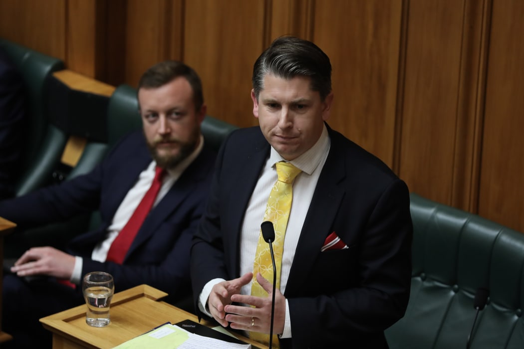 VNP Labour MP Michael Wood in the House