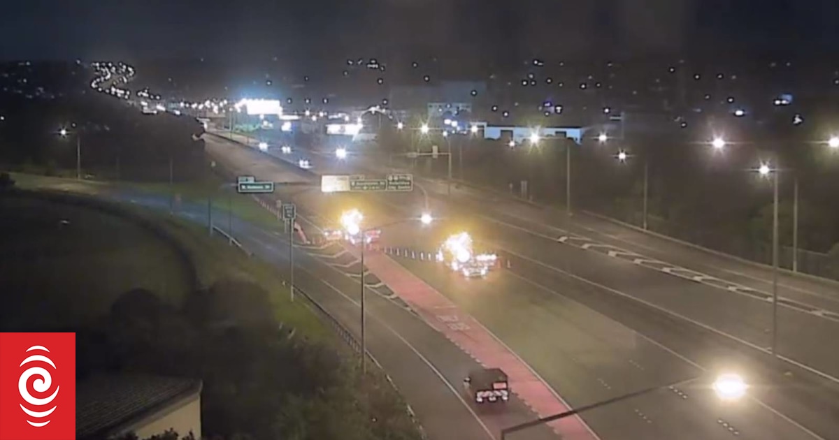 Tree falls onto Auckland motorway - Vimarsana News