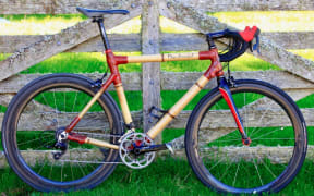 Bamboo bike