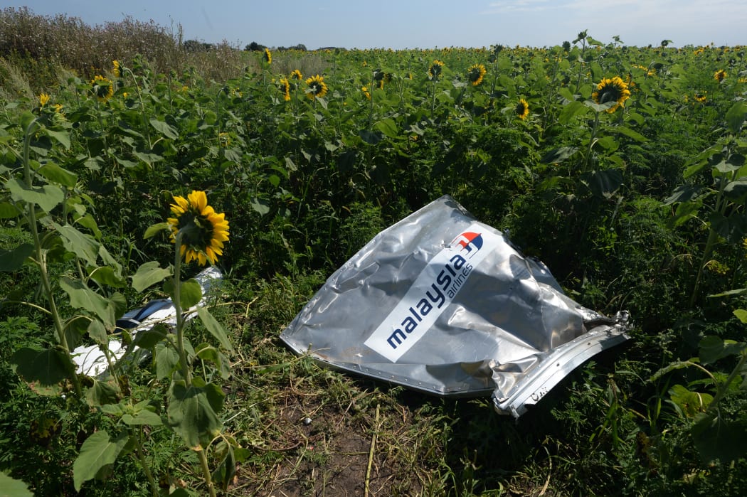 2468183 Ukraine, Rassypnoe. 07/25/2014 The breakage of the aircraft forebody, at the crush site of the Malaysian Airlines Boeing 777, outside the village of Rassypnoye, near Shakhtyorsk, Donetsk Region. Mikhail Voskresenskiy/Sputnik