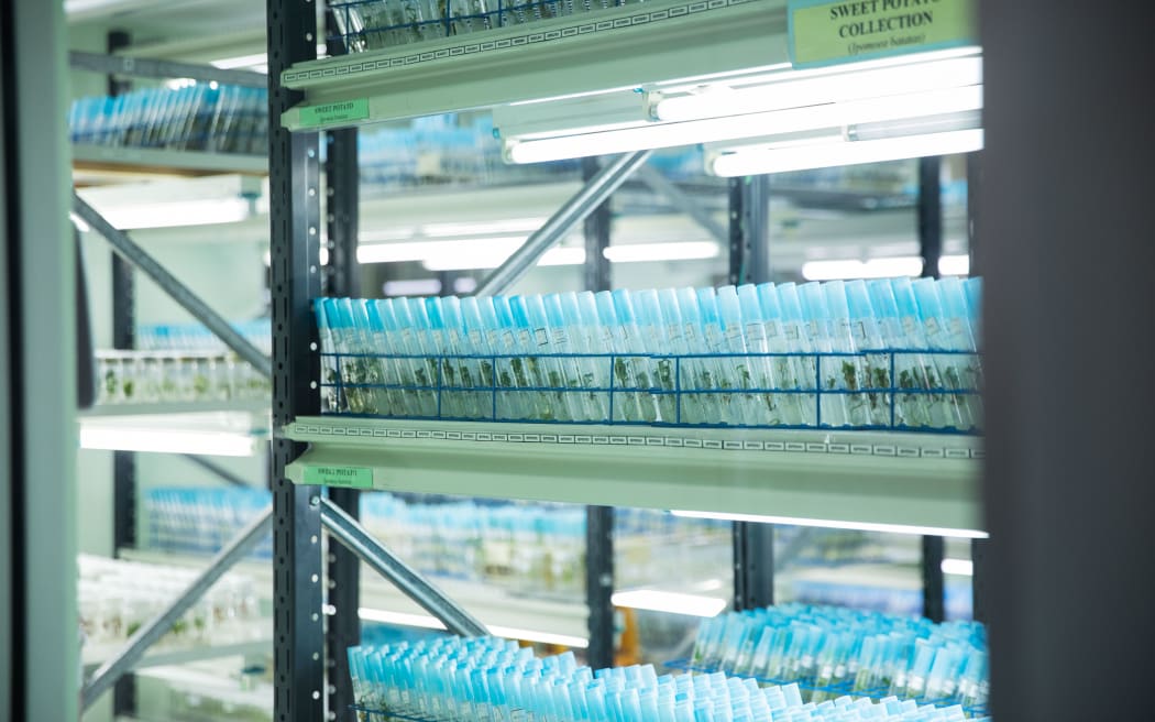 CePaCT seed and plant genebank in Suva