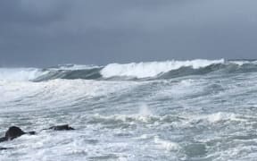 waves, wellington south coast