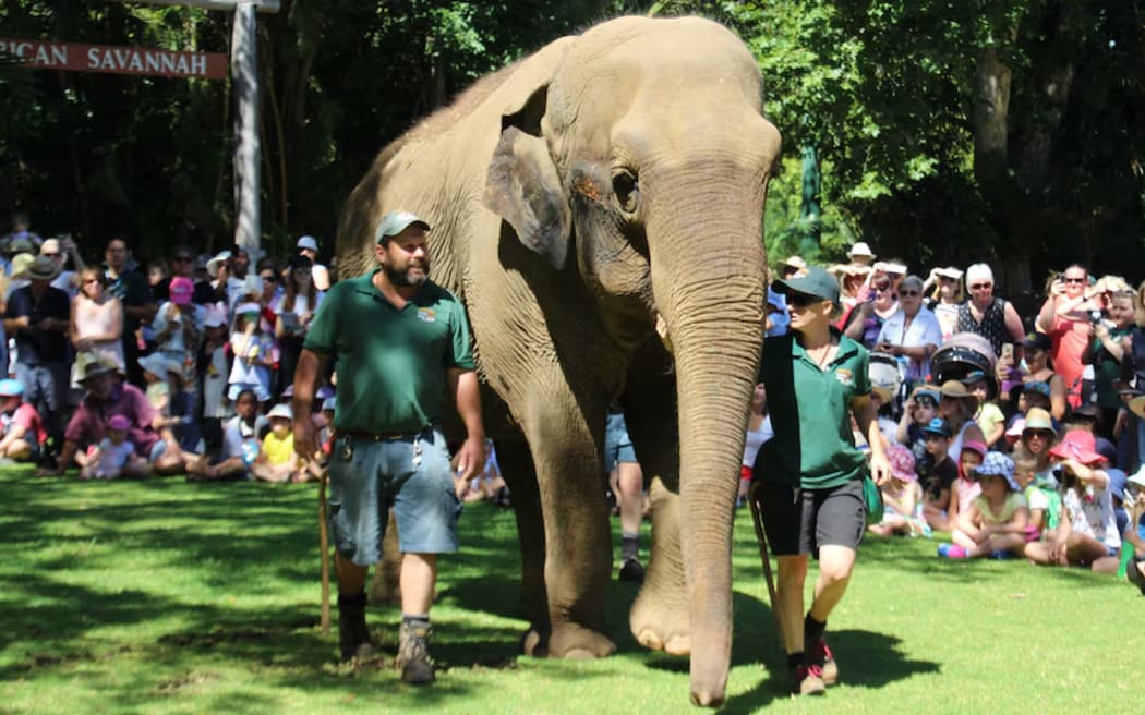 Tricia, seen here on her 60th birthday in 2017, died in 2022.