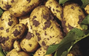potatoes