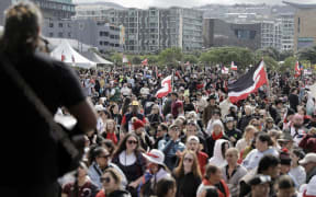 People at Waitangi Park in Wellington after the hīkoi to Parliament on 19 November 2024.