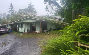 Gum tree fallen on Kerikeri House