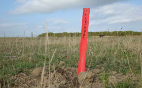 The seismic charges contain up to 2kg of explosives which are set 19m underground.