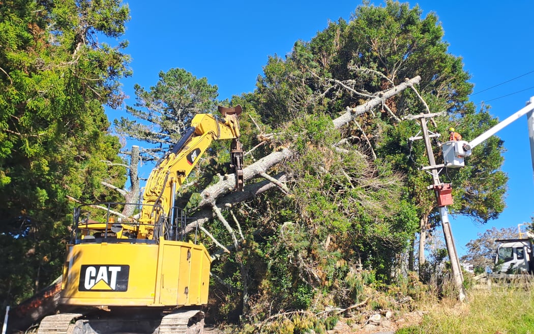 Top Energy workers remove a fallen tree from powerlines after Cyclone Gabrielle.