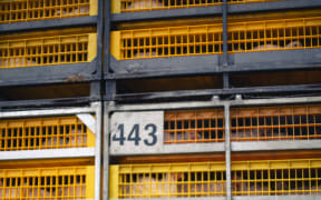 An Auckland Save Movement animal rights activist photographs a chicken transporter at Tegel, Henderson