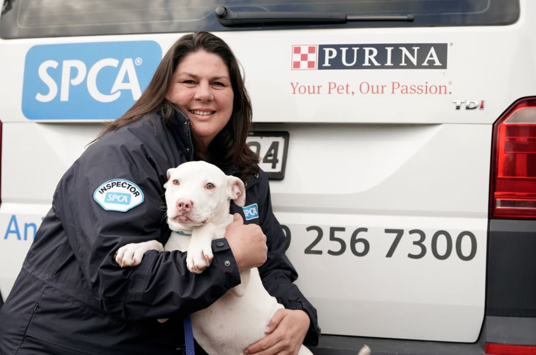 Spca manurewa hotsell