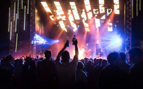 People party at last year's Rhythm and Alps festival.