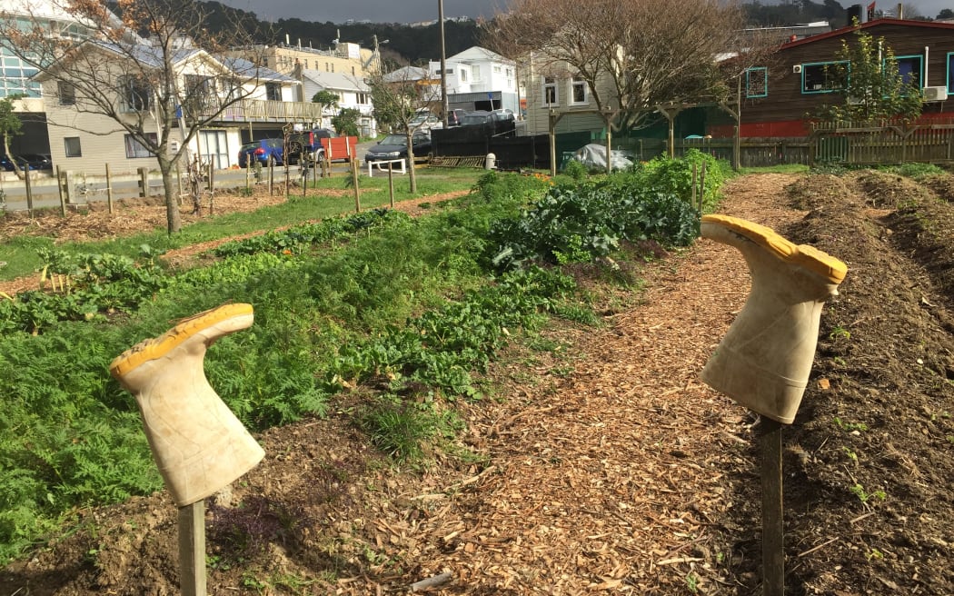Kai Cycle urban farm 2