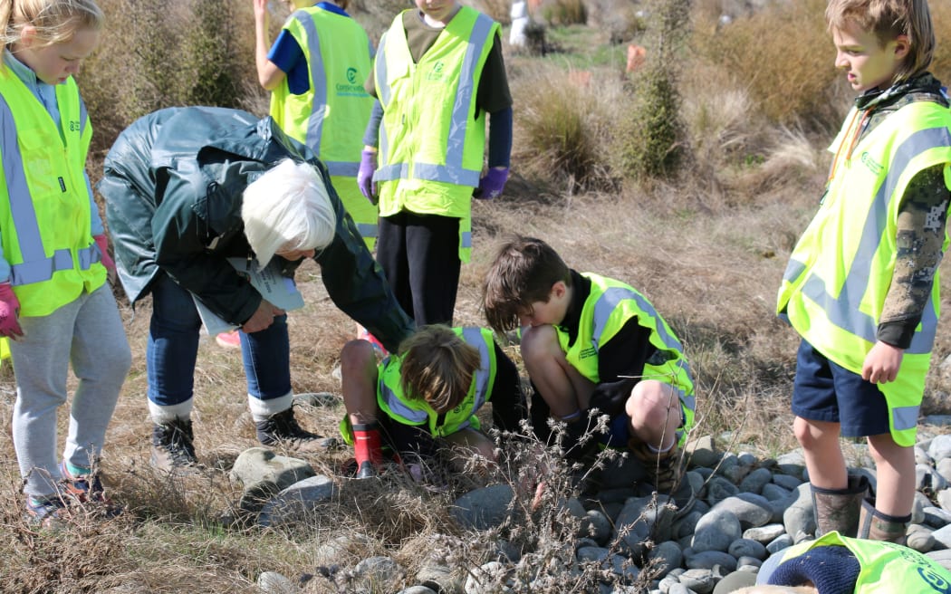 The Eyrewell skink habitat restoration school day