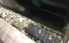 Wellington waste water contamination at Moa Point