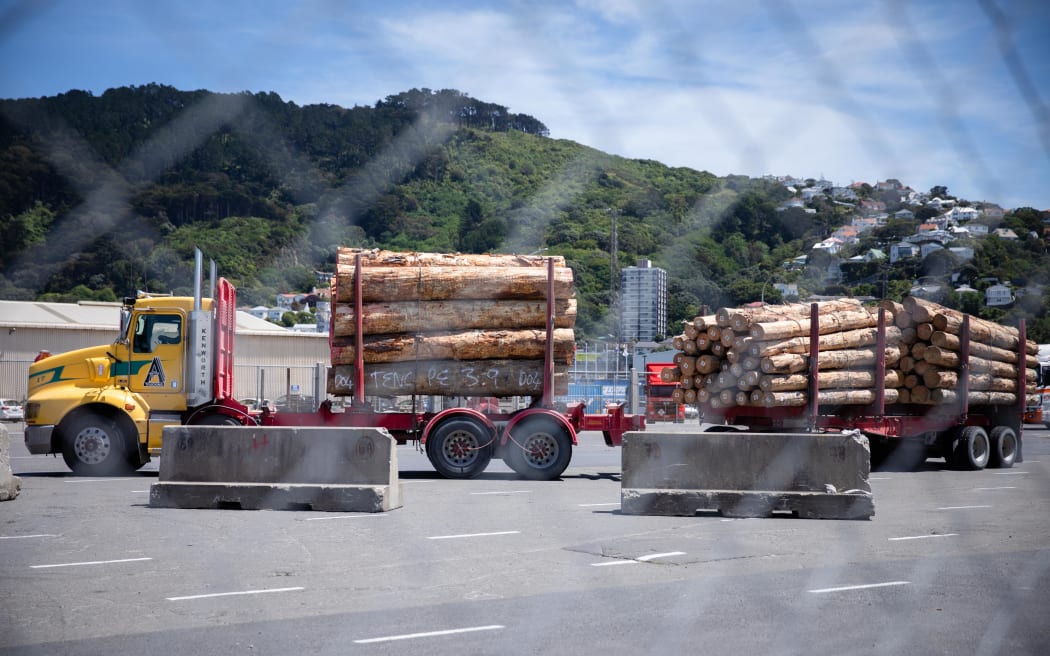 Trucks at Wellington harbour transport NZ wood