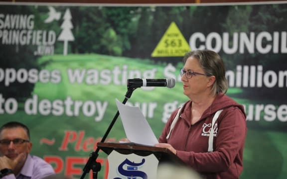 An opponent to the development of Rotorua's Springfield golf course speaks at a meeting with councillors.