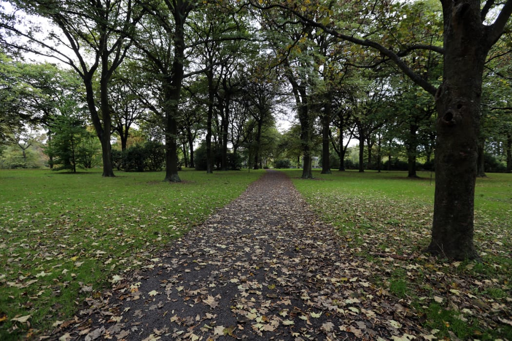 The cycle way will provide a link through Hagley Park, connecting streets and Ilam Road through to the university's campus.
